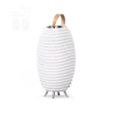 Kooduu Synergy 50Pro Led Lampe, Getränkerkühler Bluetooth aufladbar in- und outdoor